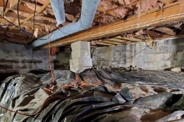 Dirty Crawl Space | Summit Basement Company