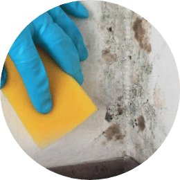 Removed Odors | Summit Basement Company | Akron OH