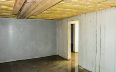 Is Your Damp Basement Making You Sick?