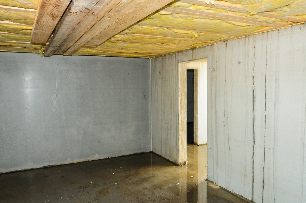 Is Your Damp Basement Making You Sick?