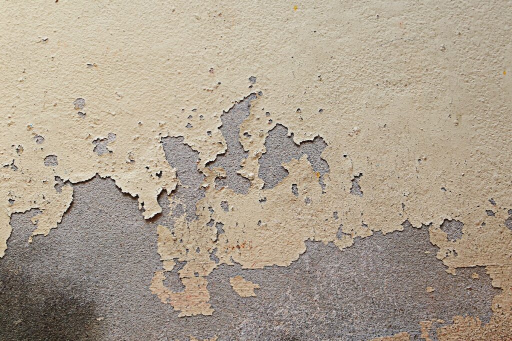 Paint peeling in basement