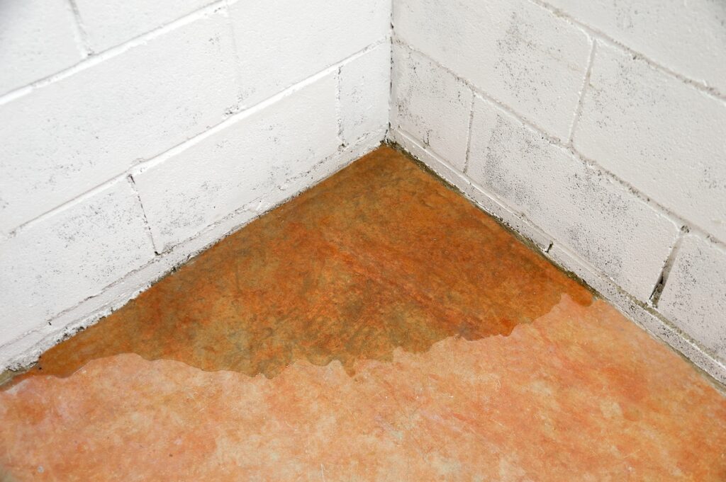 Wet corner of basement